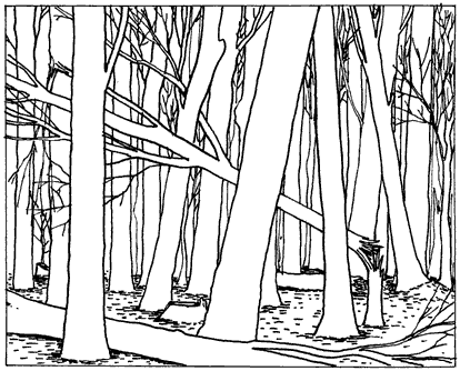 paysage